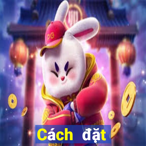 Cách đặt cược XSTV ngày 23