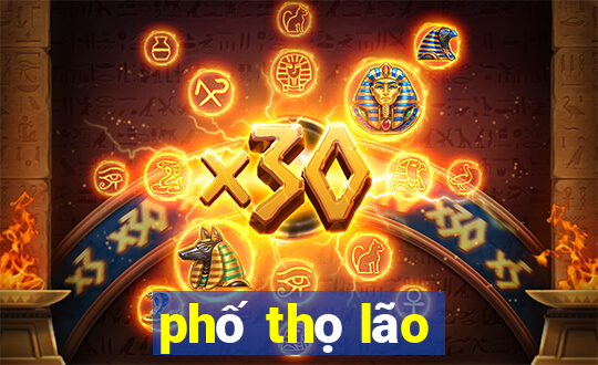 phố thọ lão