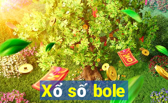 Xổ số bole