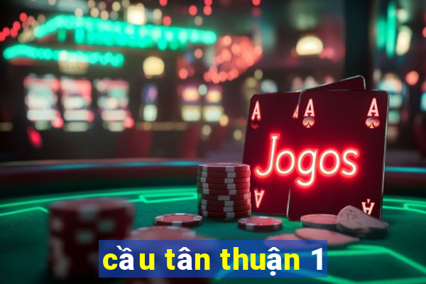 cầu tân thuận 1