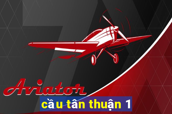 cầu tân thuận 1