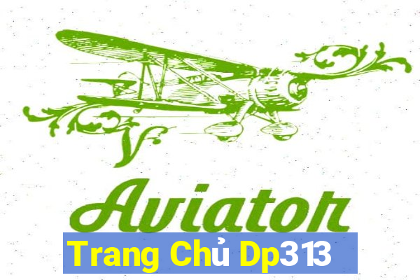 Trang Chủ Dp313