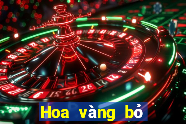 Hoa vàng bỏ túi 2021