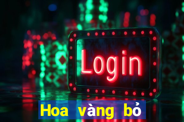 Hoa vàng bỏ túi 2021