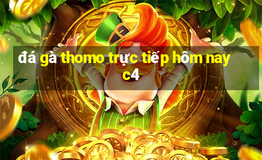 đá gà thomo trực tiếp hôm nay c4