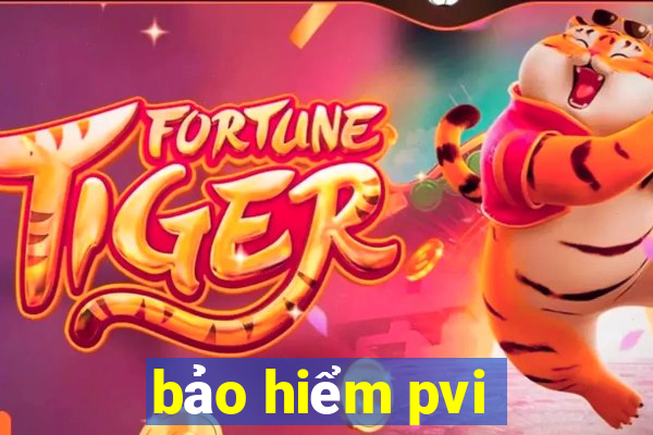 bảo hiểm pvi