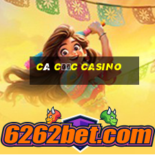 cá cược casino