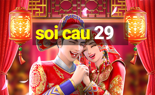 soi cau 29