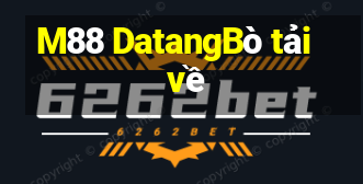 M88 DatangBò tải về