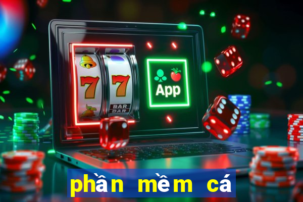 phần mềm cá độ bóng đá