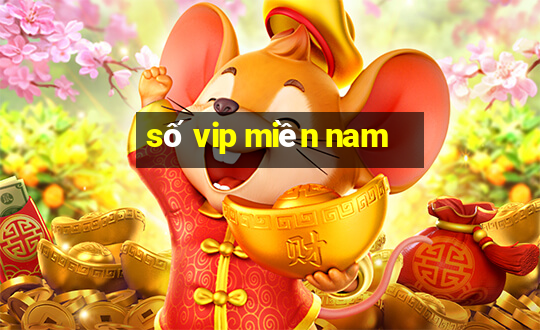 số vip miền nam