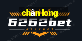 chân long