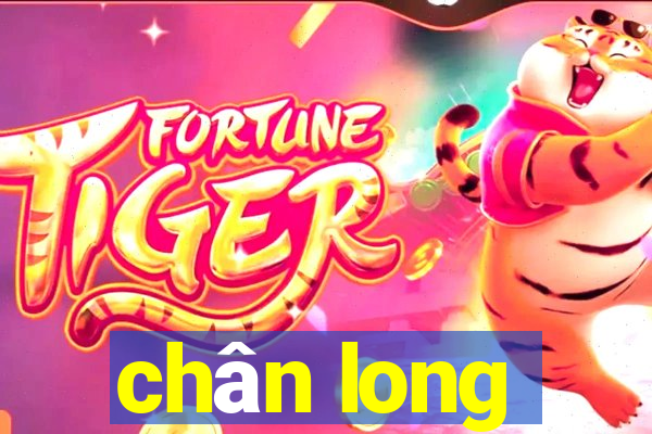 chân long