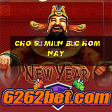 cho số miền bắc hôm nay