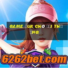 game đua chó đổi thưởng