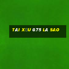 tài xỉu 0.75 là sao