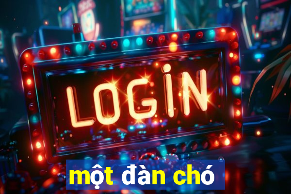 một đàn chó