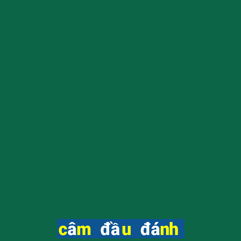 câm đầu đánh con gì