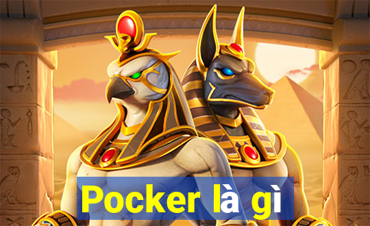 Pocker là gì