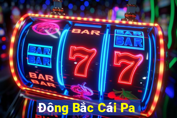 Đông Bắc Cái Pa