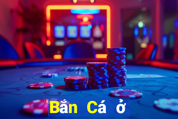 Bắn Cá ở đâu tốt nhất để Bắn Cá