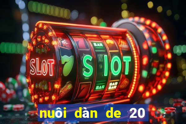 nuôi dàn de 20 số khung 5 ngày chuẩn