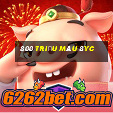 800 triệu màu 8yc