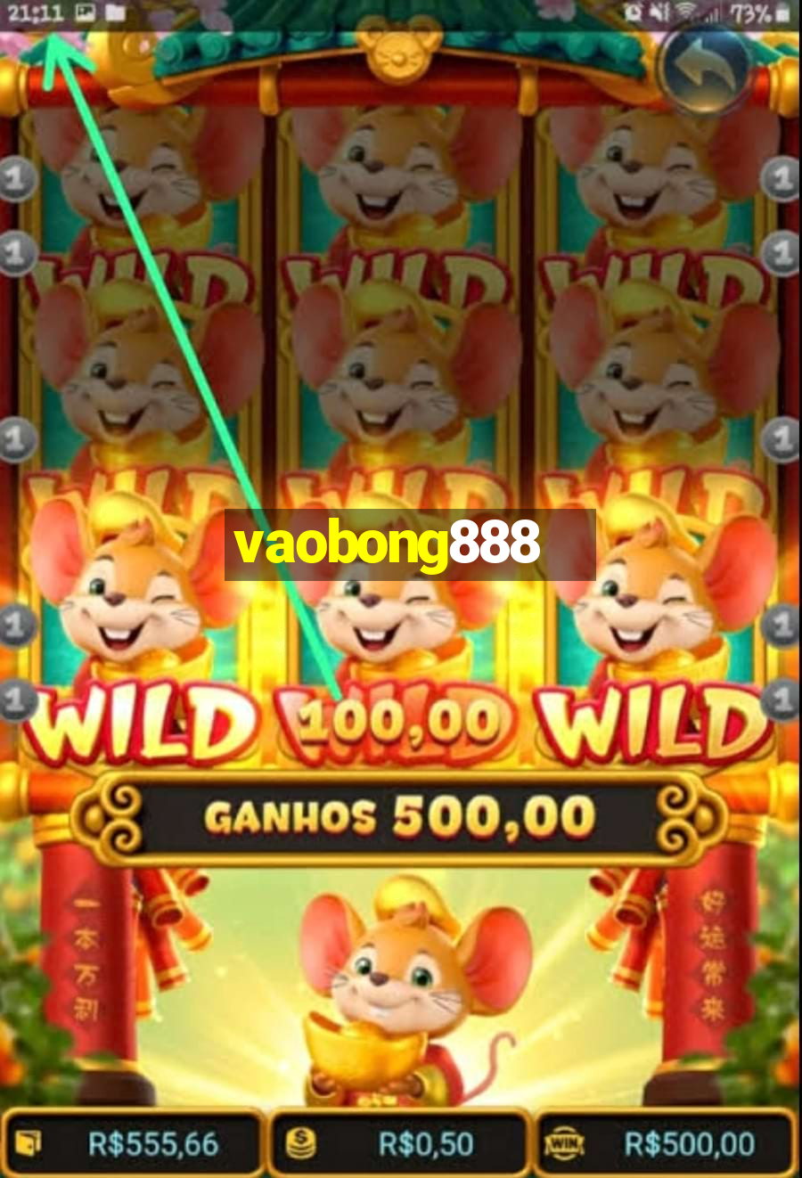 vaobong888