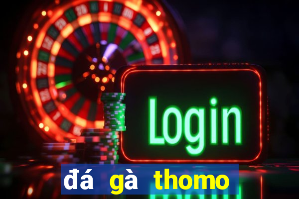 đá gà thomo hôm nay mới nhất