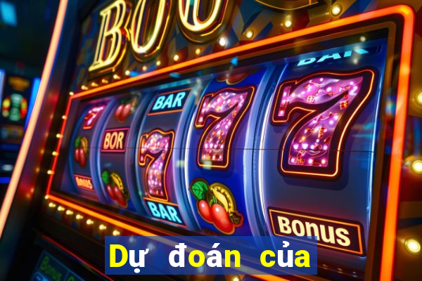 Dự đoán của chuyên gia xổ số bóng đá