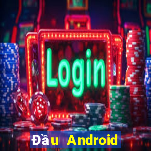 Đầu Android của ceo giải trí