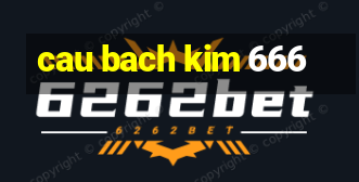 cau bach kim 666