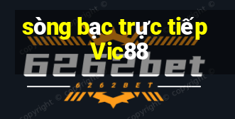 sòng bạc trực tiếp Vic88