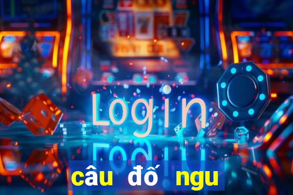 câu đố ngu hại não