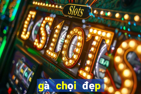 gà chọi đẹp nhất thế giới