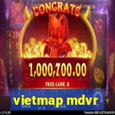 vietmap mdvr