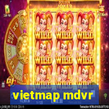 vietmap mdvr