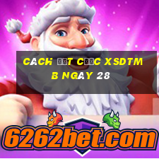 Cách đặt cược XSDTMB ngày 28