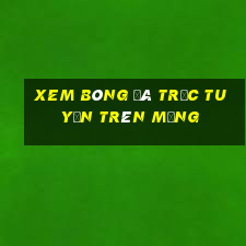 xem bóng đá trực tuyến trên mạng