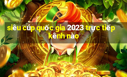 siêu cúp quốc gia 2023 trực tiếp kênh nào