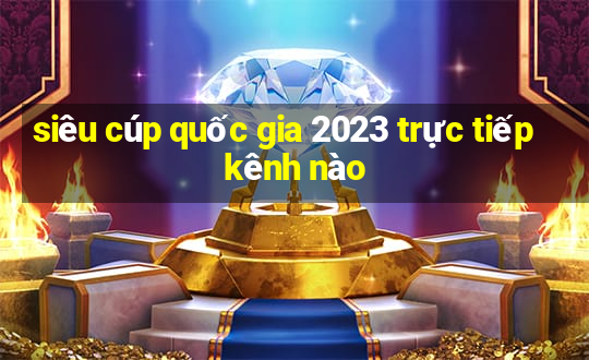 siêu cúp quốc gia 2023 trực tiếp kênh nào