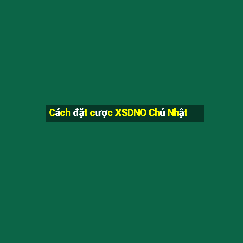 Cách đặt cược XSDNO Chủ Nhật