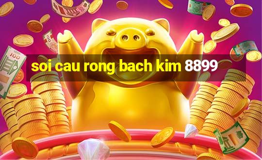 soi cau rong bach kim 8899