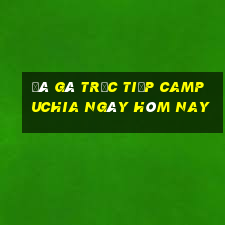 đá gà trực tiếp campuchia ngày hôm nay