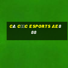 cá cược esports ae888