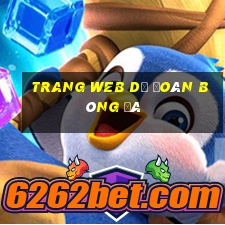 trang web dự đoán bóng đá