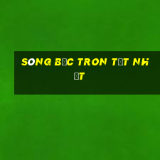 sòng bạc tron tốt nhất