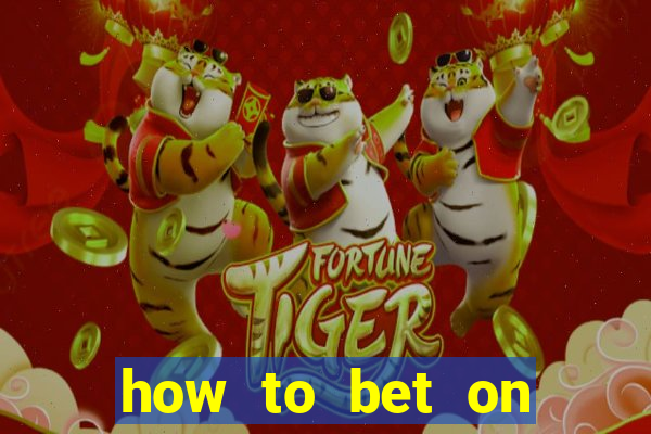 how to bet on horse racing