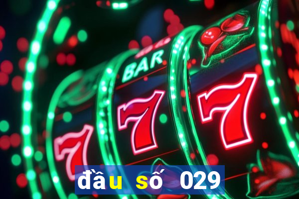 đầu số 029 ở tỉnh nào