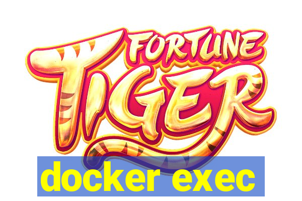 docker exec